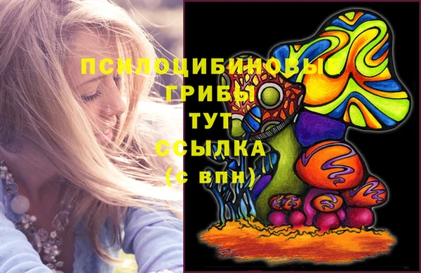 тгк Нязепетровск